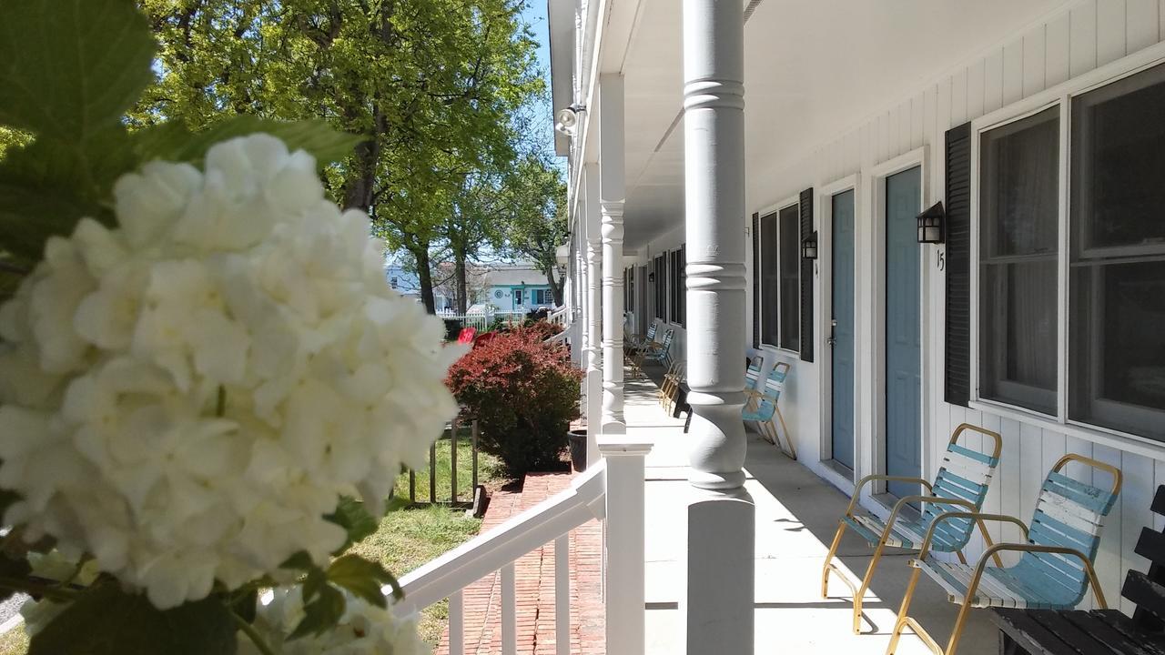 Sea Shell Motel Chincoteague Ngoại thất bức ảnh